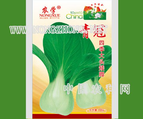 青冠油菜种子